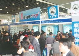 鷹(ying)牌軸承(cheng)武漢參(can)展