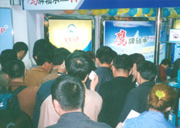 鷹牌軸(zhóu)承鄭州(zhōu)參展